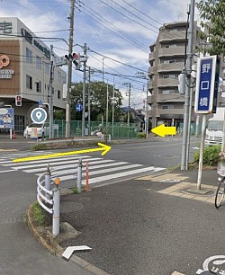 育毛鍼灸